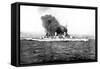 The German Battle Cruiser 'Moltke'-null-Framed Stretched Canvas