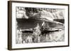 The German Battleship Tirpitz, Probably Photographed in a Norwegian Fjord-null-Framed Photographic Print