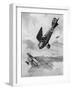 The German Diii Albatros Diving at a Foe, WW1-Geoffrey Watson-Framed Art Print