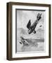 The German Diii Albatros Diving at a Foe, WW1-Geoffrey Watson-Framed Art Print