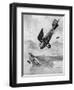 The German Diii Albatros Diving at a Foe, WW1-Geoffrey Watson-Framed Art Print