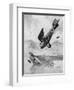 The German Diii Albatros Diving at a Foe, WW1-Geoffrey Watson-Framed Art Print