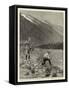 The German Emperor's Visit to Norway, Playing His First Salmon in the Olden River-Joseph Nash-Framed Stretched Canvas