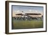 The German Gotha Bomber-null-Framed Art Print