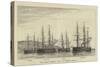 The German Ironclad Fleet in Plymouth Sound-null-Stretched Canvas