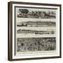 The Germans in Africa, Views of the New Settlements on the Cameroons-null-Framed Giclee Print