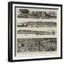 The Germans in Africa, Views of the New Settlements on the Cameroons-null-Framed Giclee Print