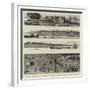 The Germans in Africa, Views of the New Settlements on the Cameroons-null-Framed Giclee Print