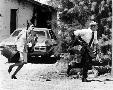 Laminate