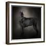 The Giant Black Schnauzer-Jai Johnson-Framed Premium Giclee Print