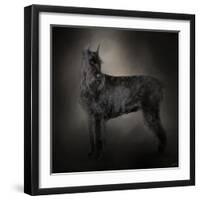 The Giant Black Schnauzer-Jai Johnson-Framed Premium Giclee Print