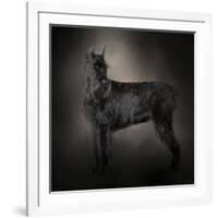 The Giant Black Schnauzer-Jai Johnson-Framed Giclee Print