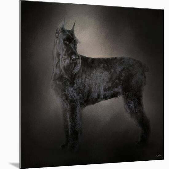 The Giant Black Schnauzer-Jai Johnson-Mounted Giclee Print