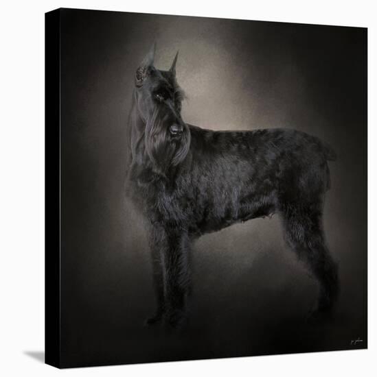 The Giant Black Schnauzer-Jai Johnson-Stretched Canvas