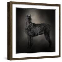 The Giant Black Schnauzer-Jai Johnson-Framed Giclee Print