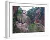 The Giant Buddha of Leshan, Sichuan, Tibet, China, Asia-Michael Runkel-Framed Premium Photographic Print