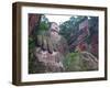 The Giant Buddha of Leshan, Sichuan, Tibet, China, Asia-Michael Runkel-Framed Photographic Print