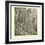 The Giant "Peppermint Tree" of Victoria, Australlia, Eucalyptus Amygdalina-null-Framed Giclee Print