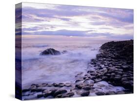 The Giant's Causeway, Co Antrim, Northern Ireland-Roy Rainford-Stretched Canvas