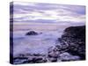 The Giant's Causeway, Co Antrim, Northern Ireland-Roy Rainford-Stretched Canvas