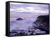 The Giant's Causeway, Co Antrim, Northern Ireland-Roy Rainford-Framed Stretched Canvas