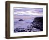 The Giant's Causeway, Co Antrim, Northern Ireland-Roy Rainford-Framed Photographic Print