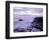 The Giant's Causeway, Co Antrim, Northern Ireland-Roy Rainford-Framed Photographic Print