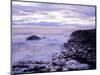 The Giant's Causeway, Co Antrim, Northern Ireland-Roy Rainford-Mounted Photographic Print