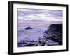 The Giant's Causeway, Co Antrim, Northern Ireland-Roy Rainford-Framed Photographic Print