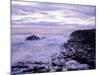 The Giant's Causeway, Co Antrim, Northern Ireland-Roy Rainford-Mounted Photographic Print