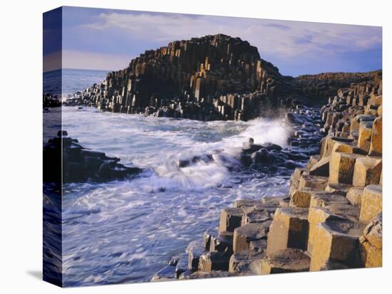 The Giant's Causeway, Co Antrim, Northern Ireland-Roy Rainford-Stretched Canvas