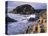 The Giant's Causeway, Co Antrim, Northern Ireland-Roy Rainford-Stretched Canvas