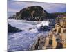 The Giant's Causeway, Co Antrim, Northern Ireland-Roy Rainford-Mounted Photographic Print