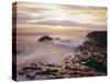 The Giant's Causeway, County Antrim, Ulster, Northern Ireland, UK, Europe-Roy Rainford-Stretched Canvas