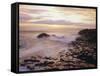 The Giant's Causeway, County Antrim, Ulster, Northern Ireland, UK, Europe-Roy Rainford-Framed Stretched Canvas