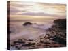 The Giant's Causeway, County Antrim, Ulster, Northern Ireland, UK, Europe-Roy Rainford-Stretched Canvas