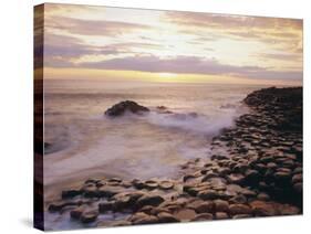 The Giant's Causeway, County Antrim, Ulster, Northern Ireland, UK, Europe-Roy Rainford-Stretched Canvas