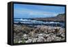 The Giant's Causeway on a Spring Day-PRPics-Framed Stretched Canvas