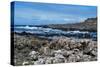 The Giant's Causeway on a Spring Day-PRPics-Stretched Canvas