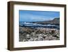 The Giant's Causeway on a Spring Day-PRPics-Framed Photographic Print