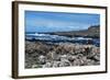 The Giant's Causeway on a Spring Day-PRPics-Framed Photographic Print