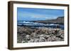 The Giant's Causeway on a Spring Day-PRPics-Framed Photographic Print