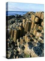 The Giant's Causeway, Unesco World Heritage Site, County Antrim, Northern Ireland-Bruno Barbier-Stretched Canvas