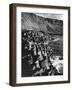 The Giant's Causeway-null-Framed Photographic Print