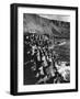 The Giant's Causeway-null-Framed Photographic Print