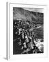 The Giant's Causeway-null-Framed Photographic Print