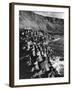 The Giant's Causeway-null-Framed Photographic Print