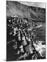 The Giant's Causeway-null-Mounted Photographic Print