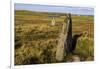 The Giant's Stones, Standing Stones, Scotland-Eleanor Scriven-Framed Photographic Print