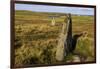 The Giant's Stones, Standing Stones, Scotland-Eleanor Scriven-Framed Photographic Print